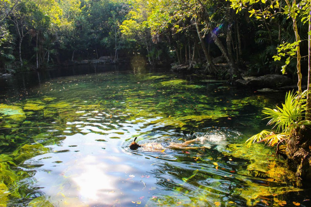 Schnorcheln in dem Cenote Chikin Ha