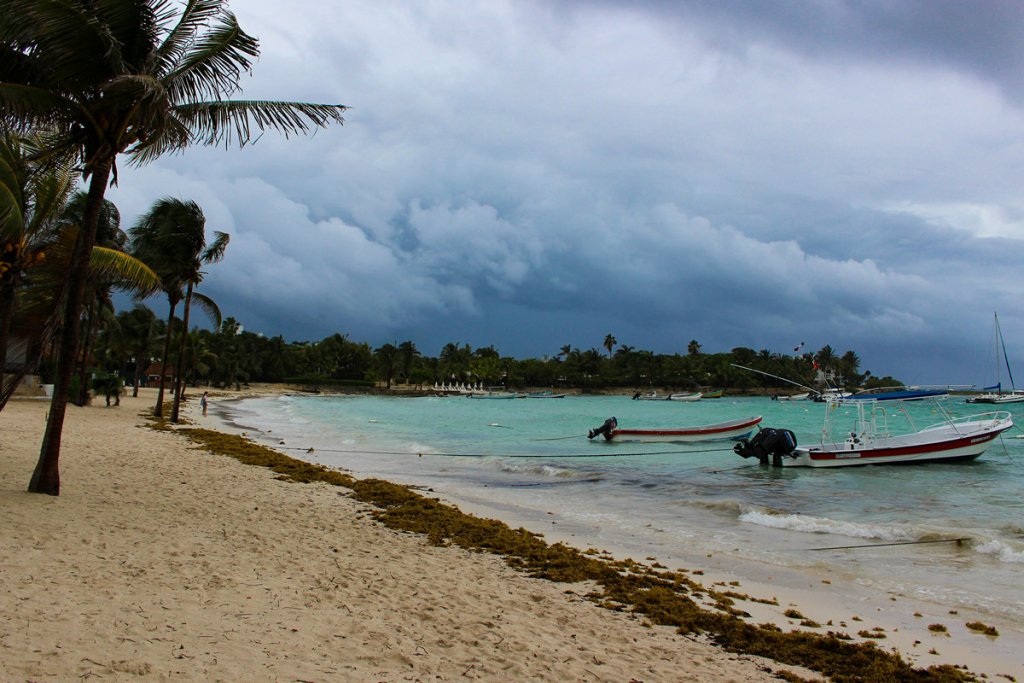 Turtle Beach Akumal