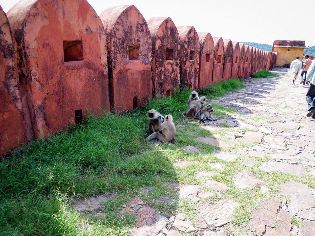 Affen Jaigarh Fort Jaipur