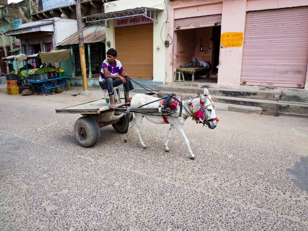 Eselkarre in Mandawa, Indien