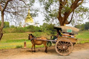 Pferdekutsche Inwa Mandalay
