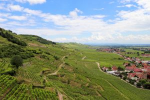 Aussicht Burg Kaysersberg