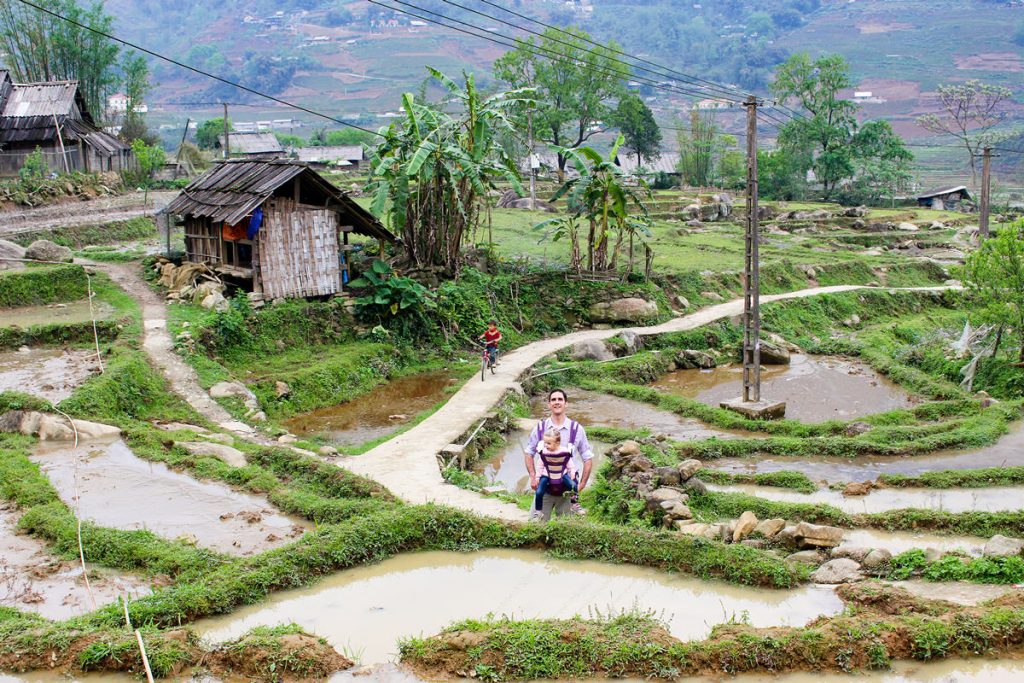 Reisfelder in Lao Chai