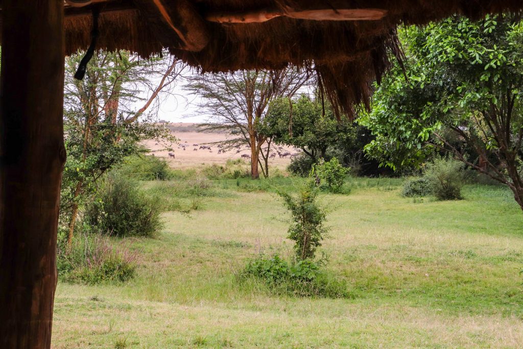 Aussicht Camp Masai Mara