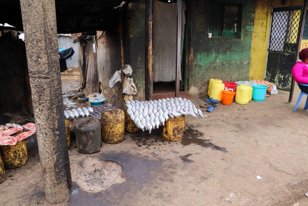 Fish Mathare Slum