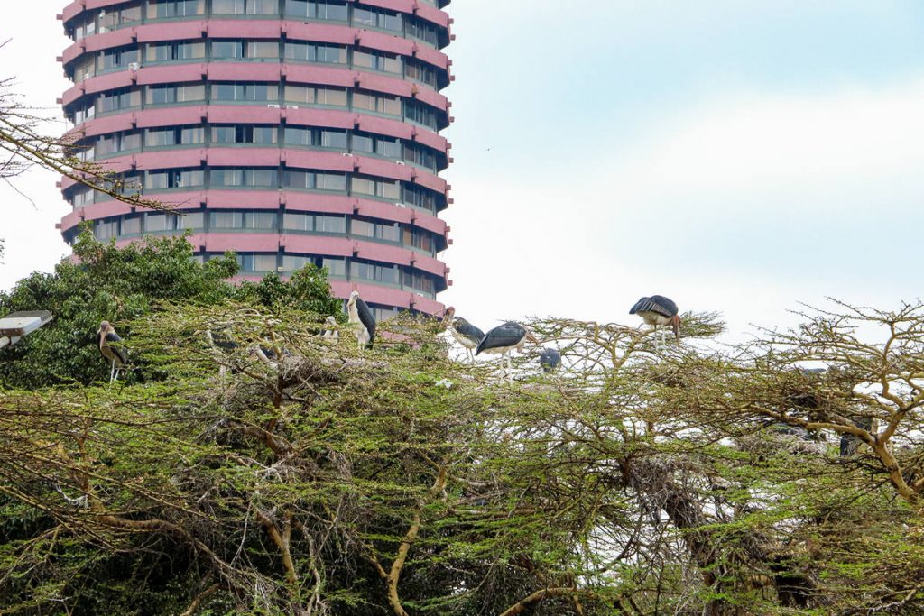 Marabu Nairobi