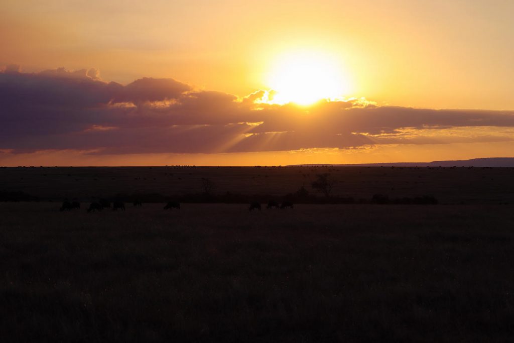 Sonnenuntergang Masai Mara