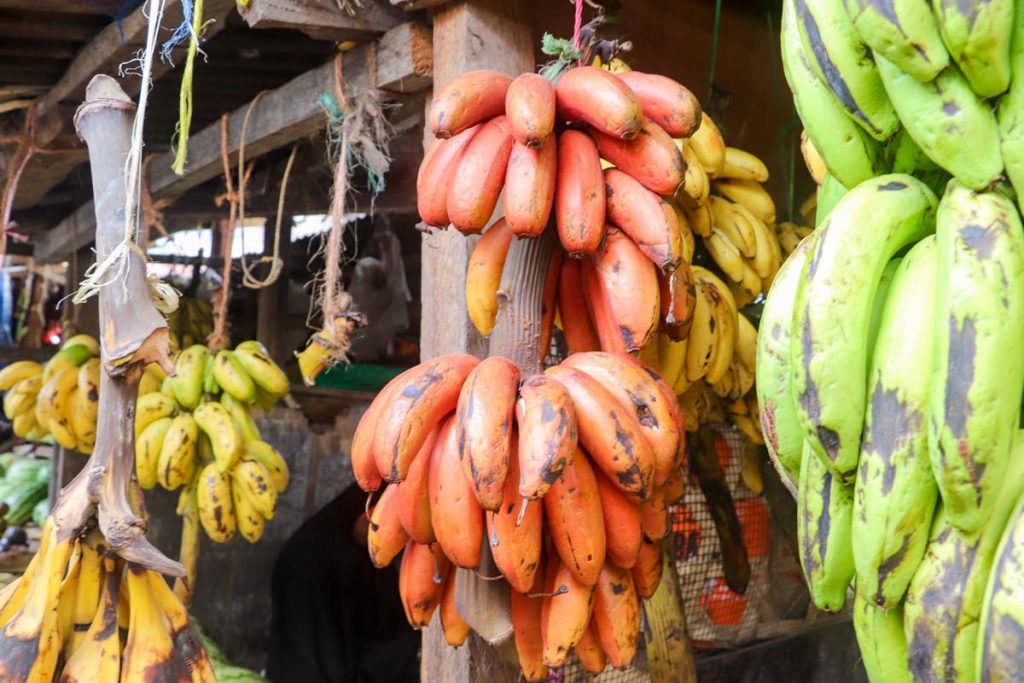 Bananen Gelb Grün Rot