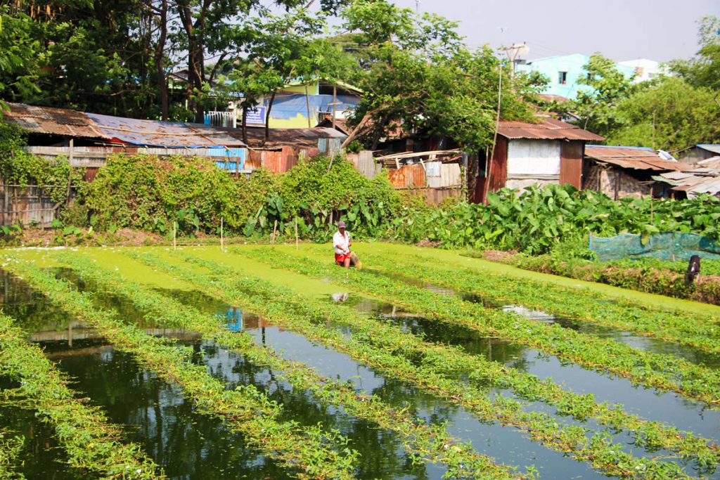 Bauer Yangon