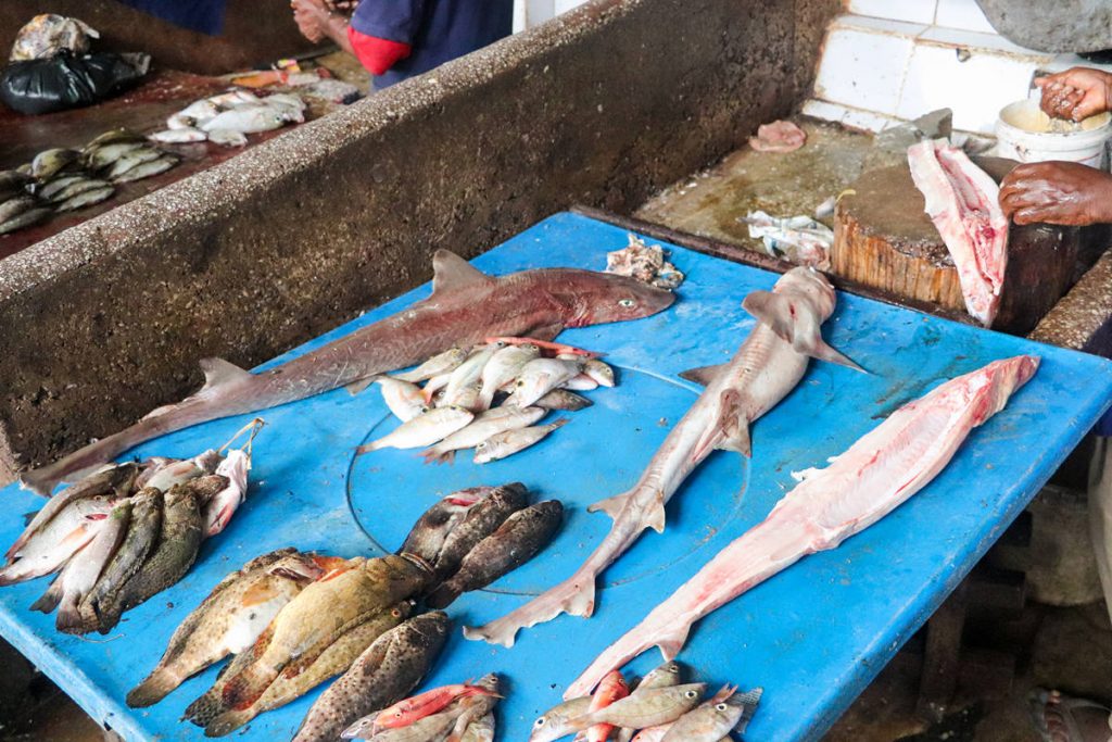 Fischmarkt Darajani Market