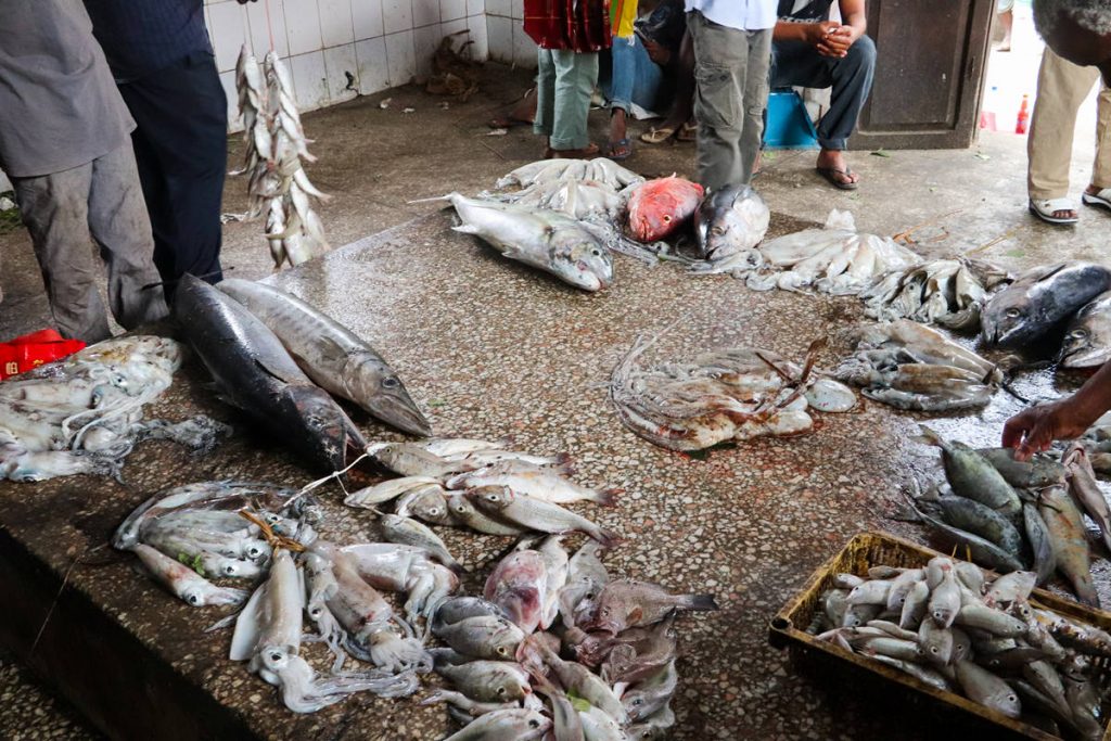 Fisch Markt Sansibar