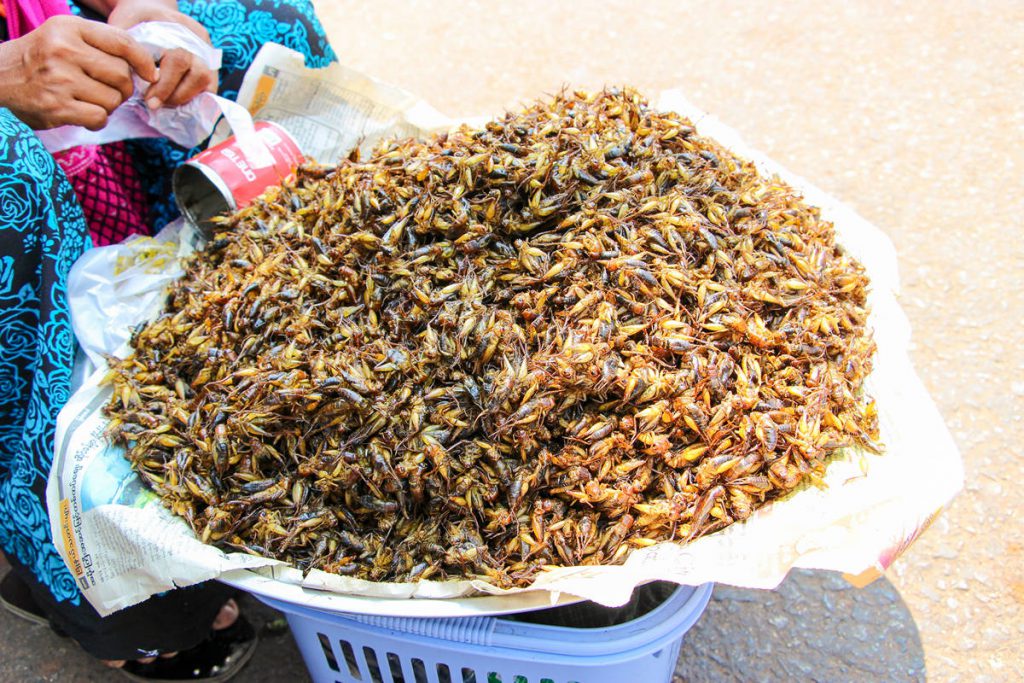 Gegrillte Heuschrecken Myanmar