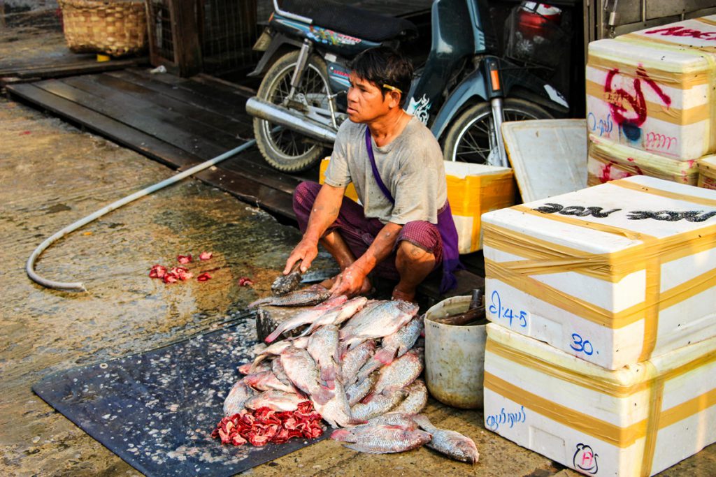 Fish Market Mandalay
