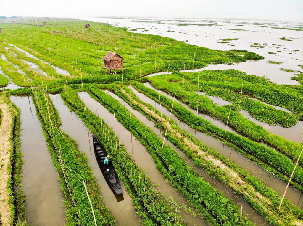 Schwimmende Gärten auf dem Inle See