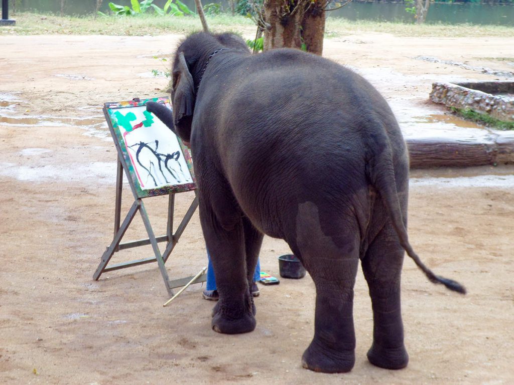 Elefant malt Bild im Thai Elephant Conservation Center