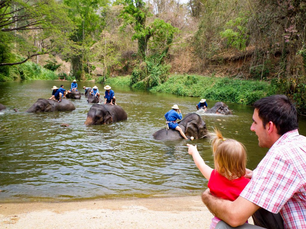 Elefanten baden im Thai Elephant Conservation Center