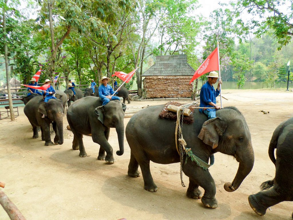 Elefanten Show im Thailand