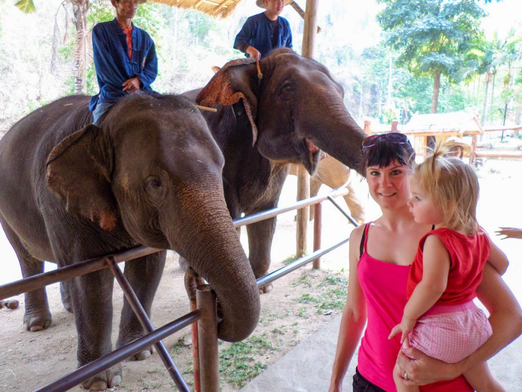 Elefanten streicheln im Thai Elephant Conservation Center
