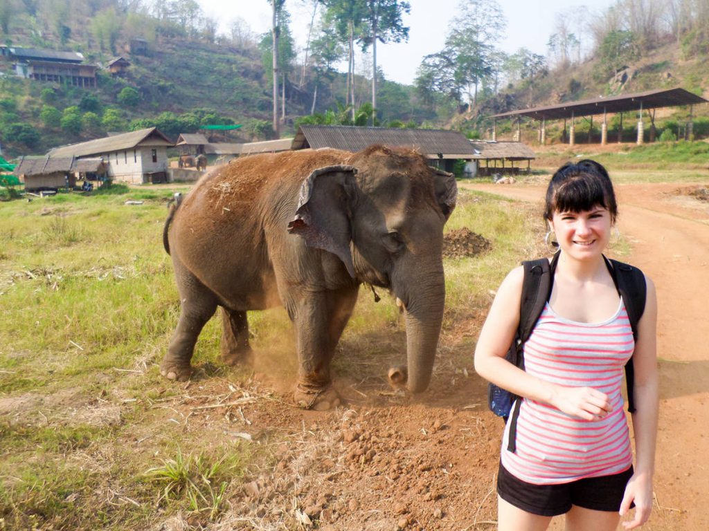 Ran Tong Elephant Centre Chiang Mai