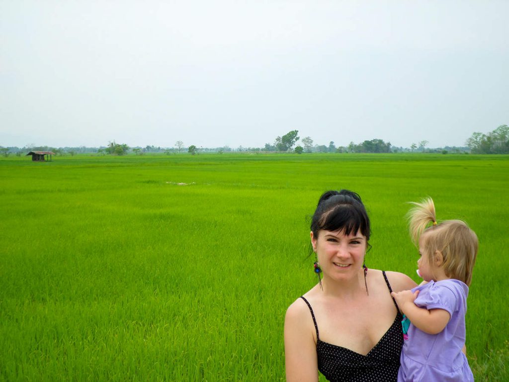Reisfeld im Norden Thailand