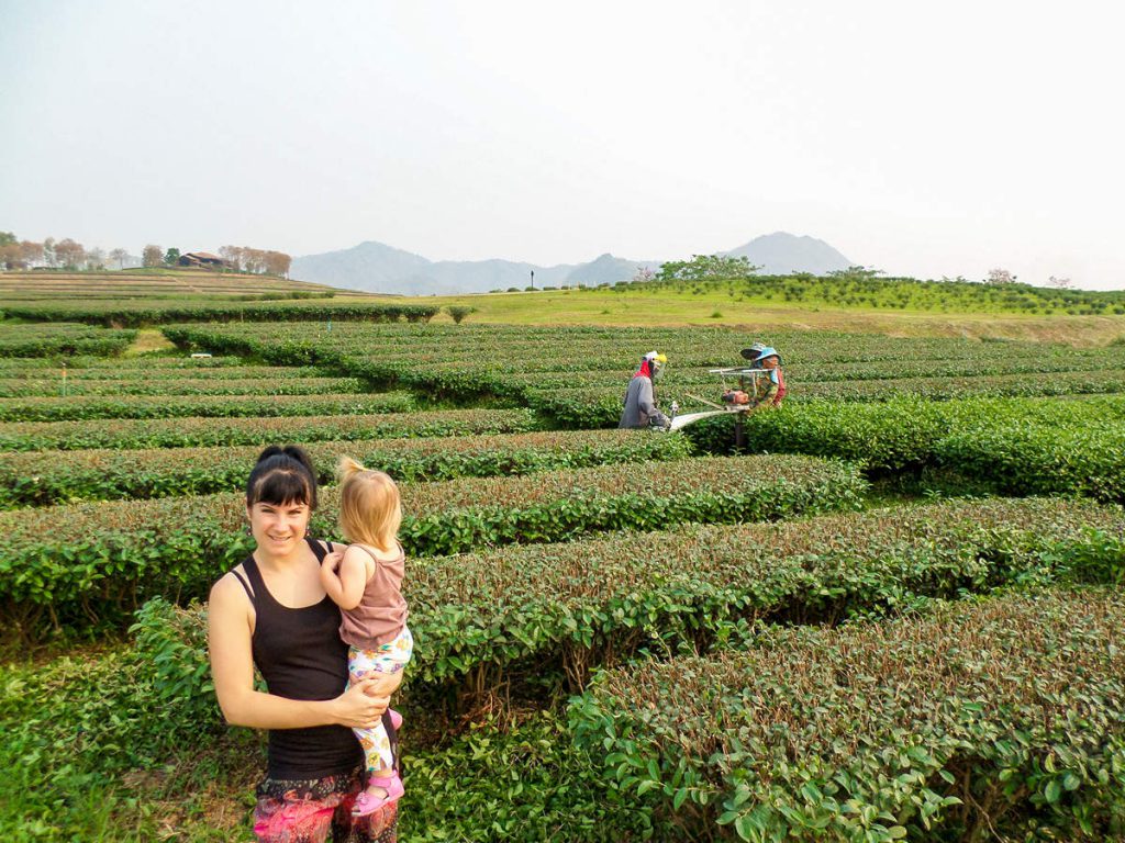 Singha Park Chiang Rai