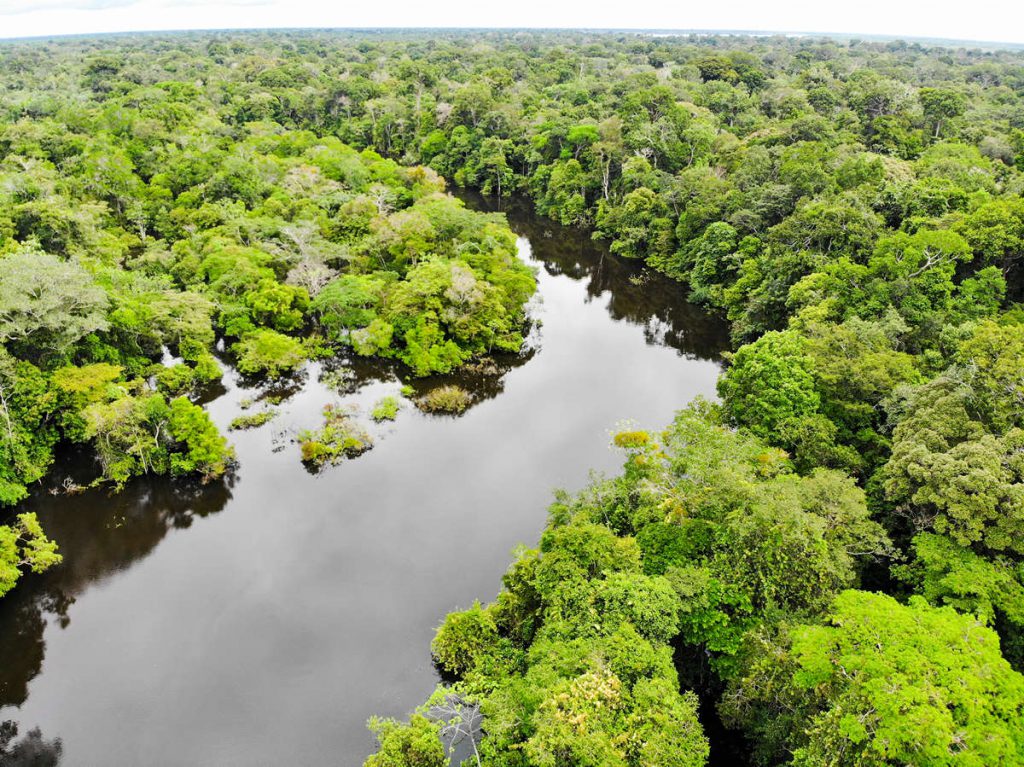 Amazonas Dschungel in Peru Luftaufnahme