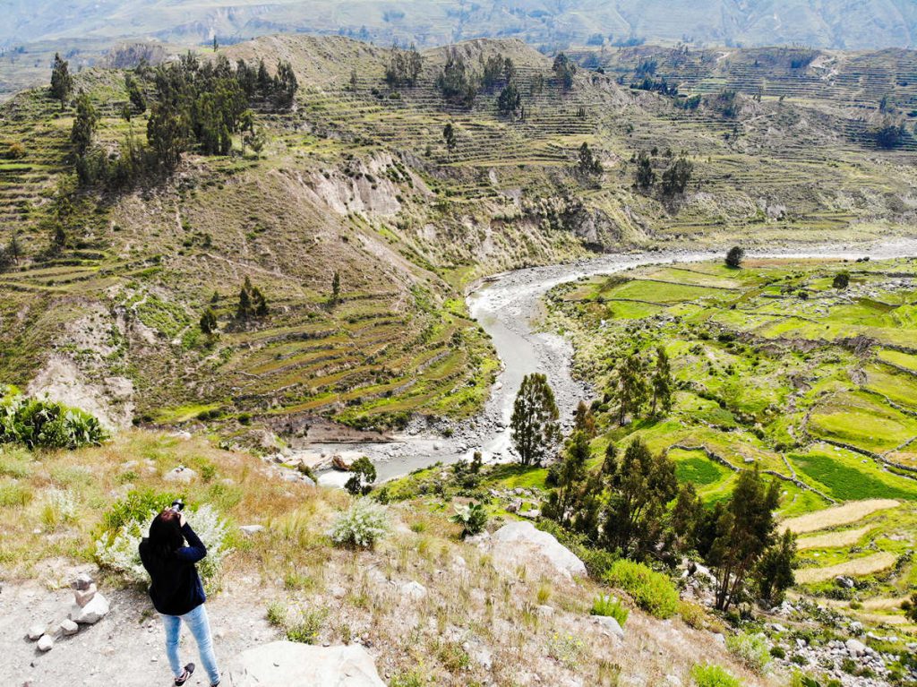 Colca-Tal mit den Terrassen und dem Colca Fluss