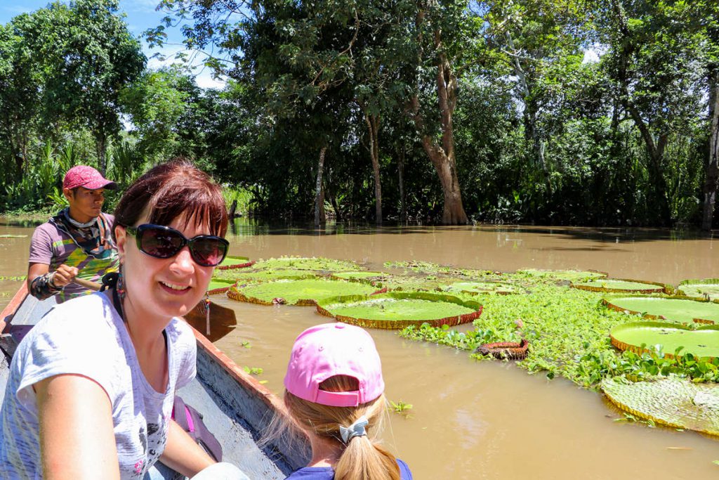 Amazonas-Riesenseerose in Peru