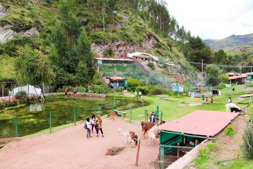 Ccochahuasi Animal Sanctuary in Peru