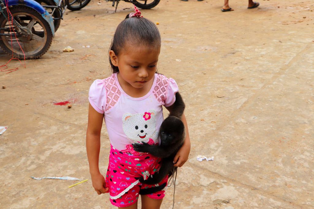 Mädchen mit kleinem Affe als Haustier in Peru