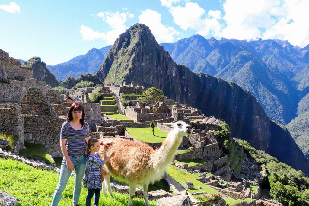 Lama am Machu Picchu