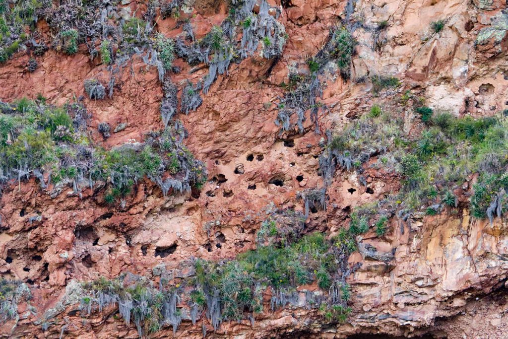 Pisaq Inka Cemetery