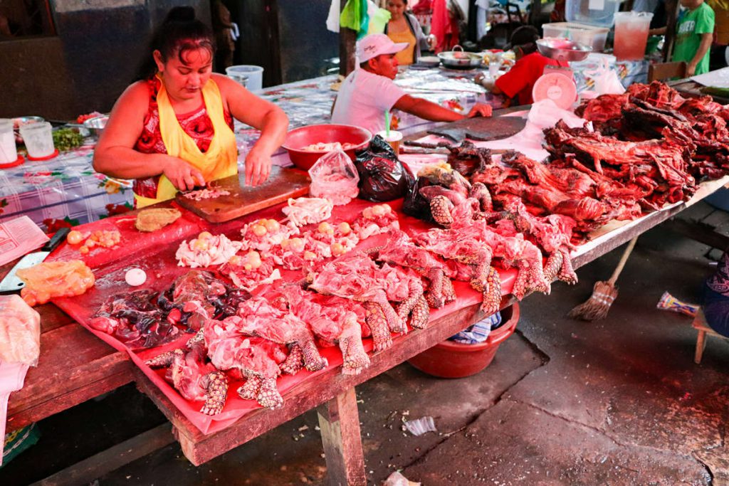 Schildkröten auf dem Belén Market in Iquitos