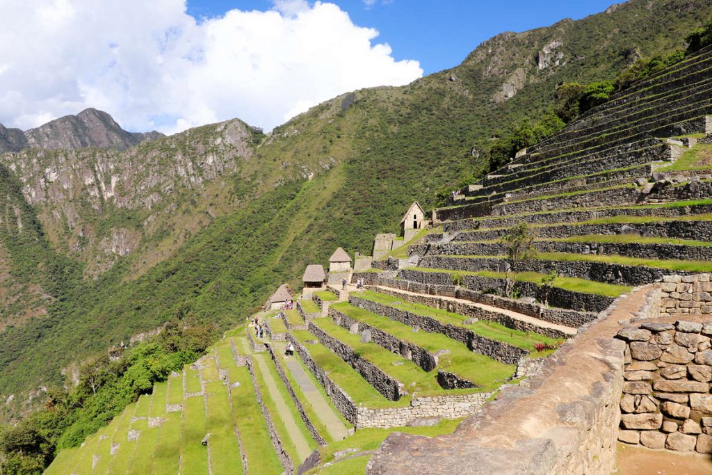Terrassen von Machu Picchu