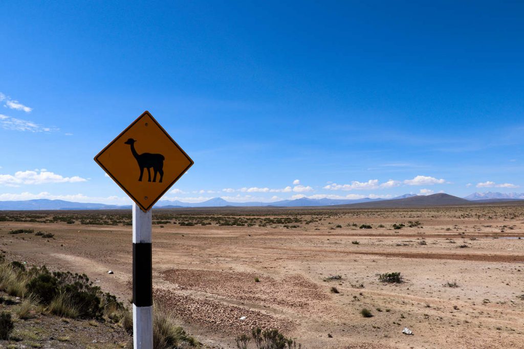 Vorsicht Vicuña Straßenschild in Peru