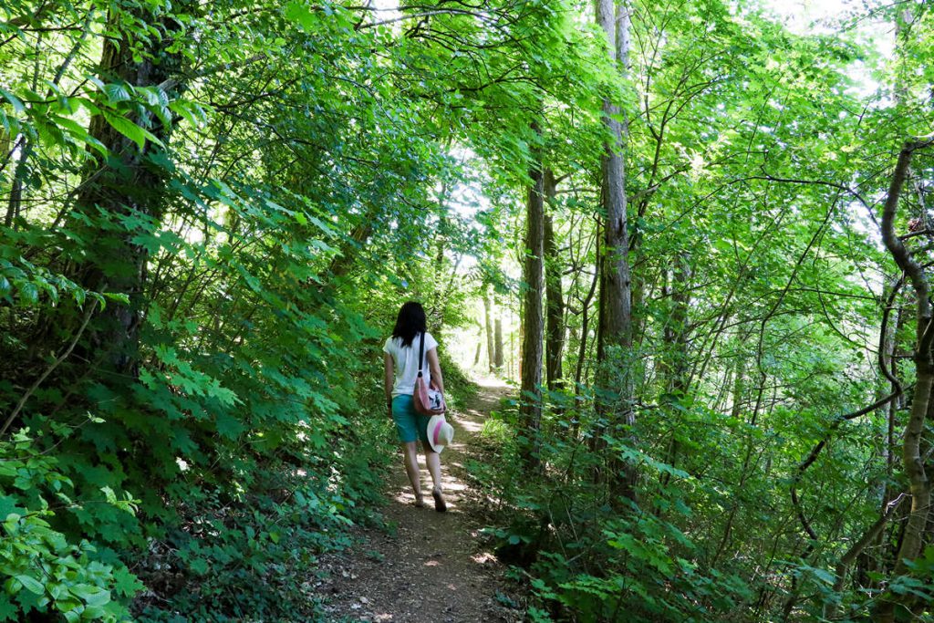 Wanderweg zum Aussichtspunkt in Eichstätt