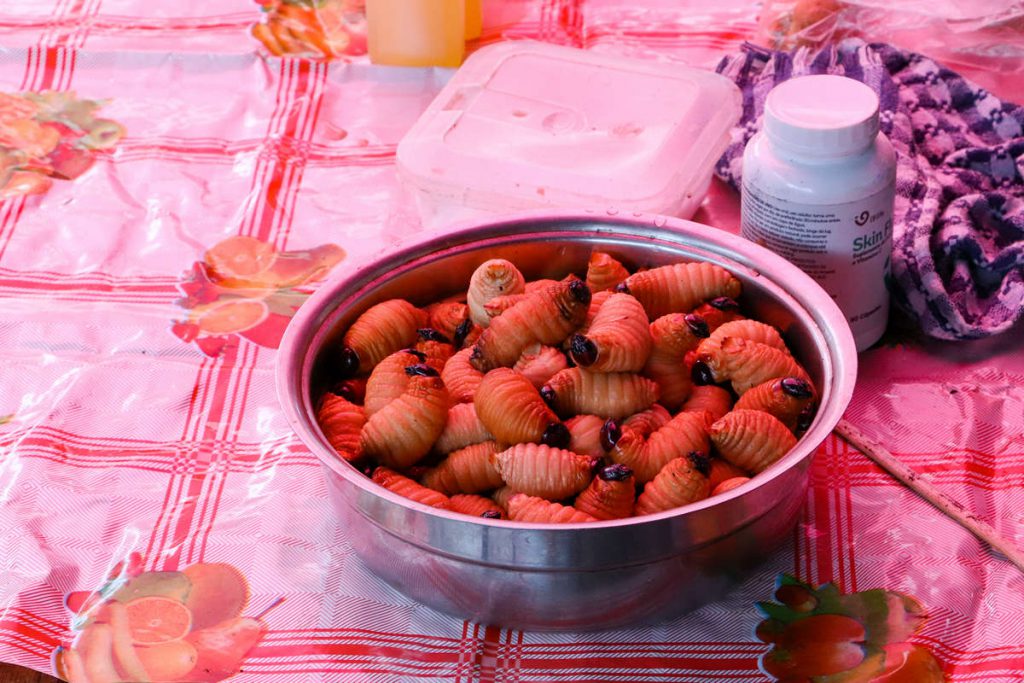 Gegrillte Larven Peru