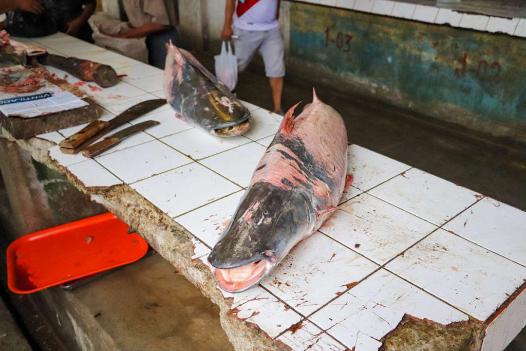 Große Fische auf dem Belén Market