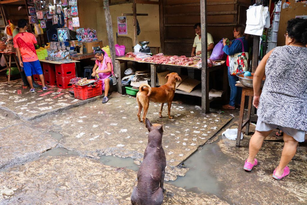 Hunde Belen Market