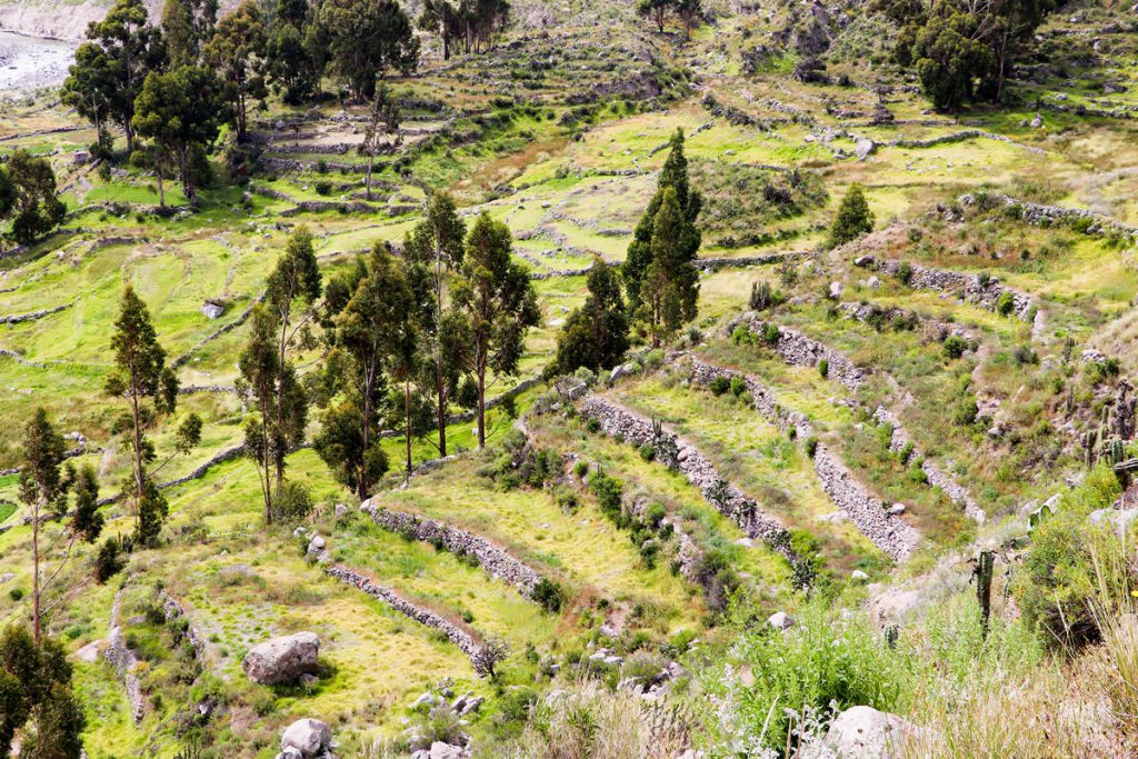 Prä-Inka Terrassen im Colca-Tal