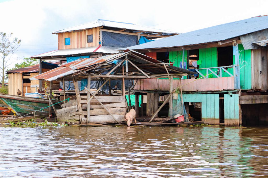 Tierhaltung auf dem Wasser Belen Iquitos