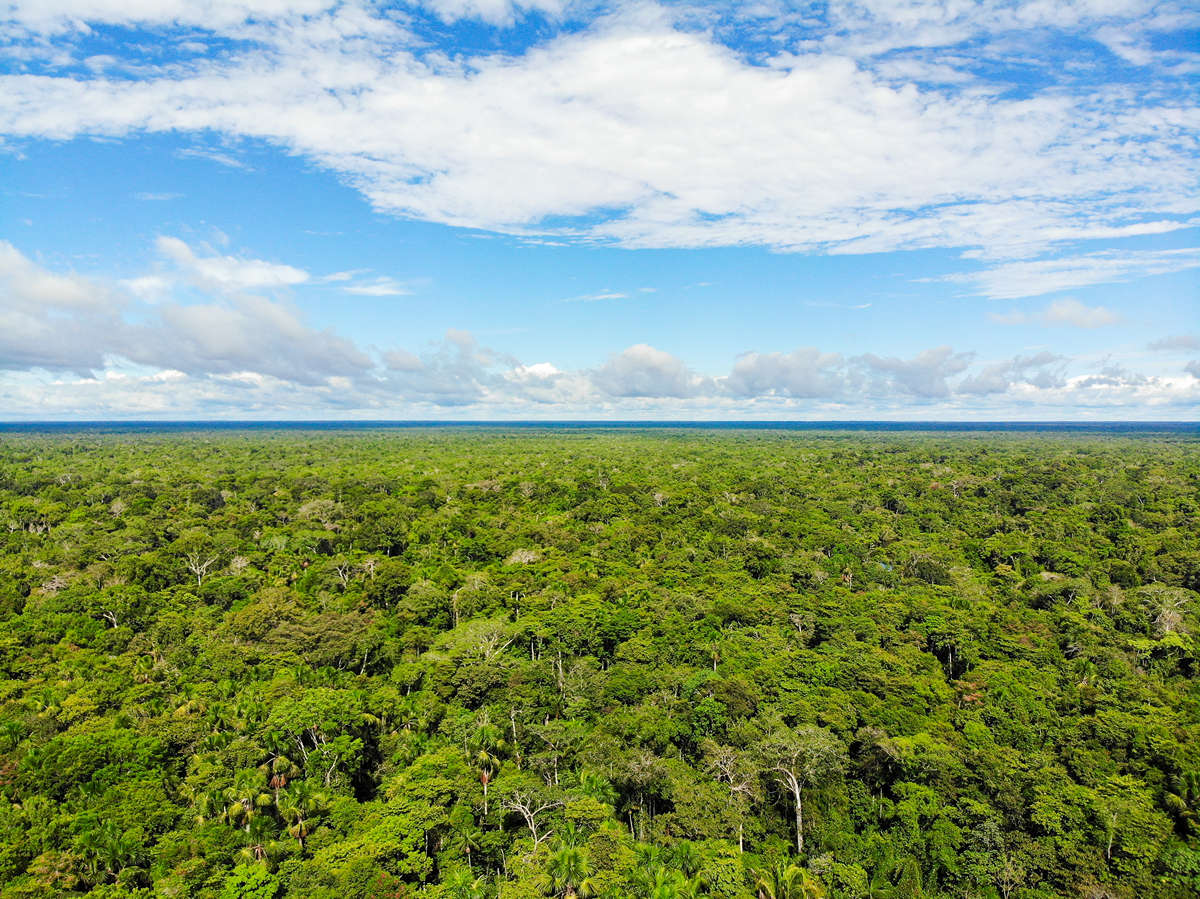 Amazonas Peru