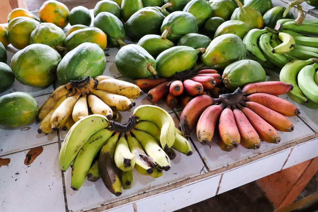 3 verschiedenen Bananen