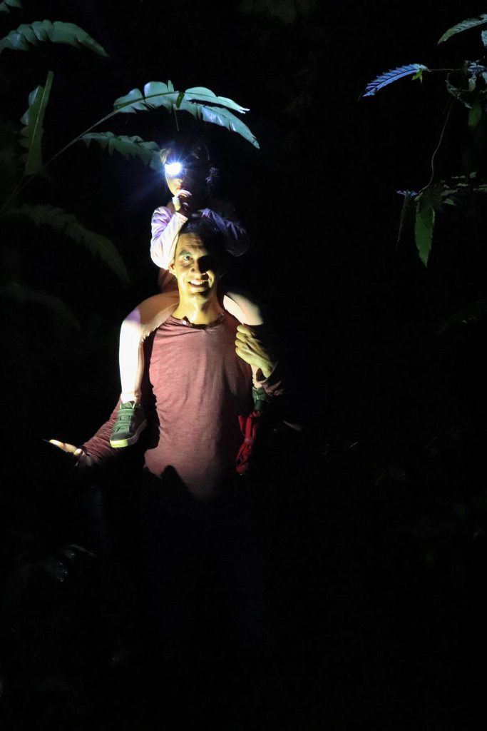Tierbeobachtung in der Nacht im Regenwald