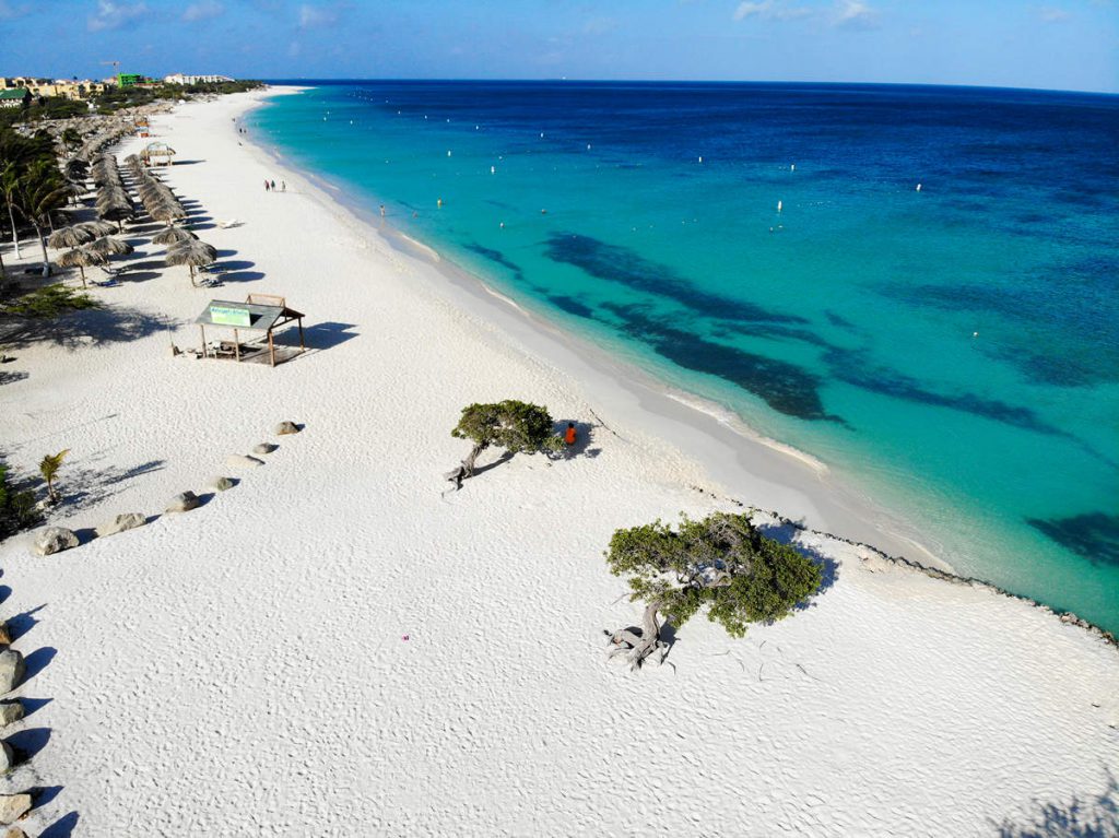 Eagle Beach und Divi-Divi-Bäume