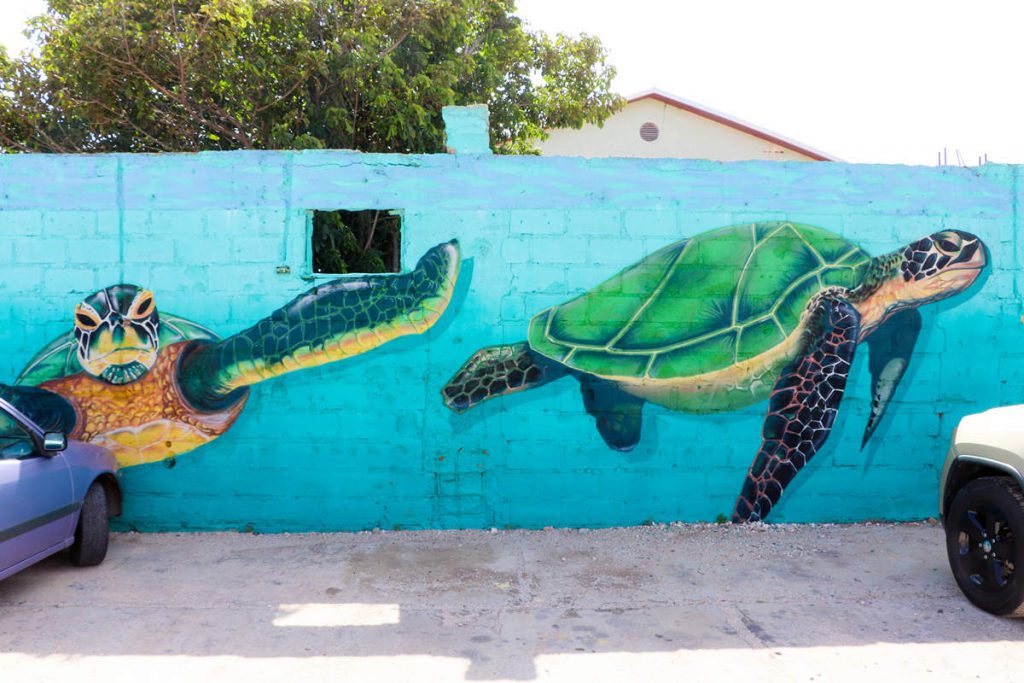 Schildkröten Streetart San Nicolas