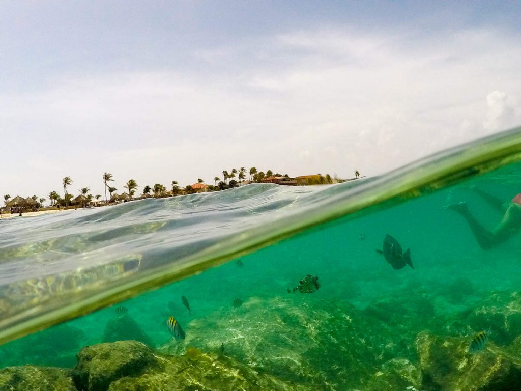 Mit Fische auf dem Arashi Beach schwimmen