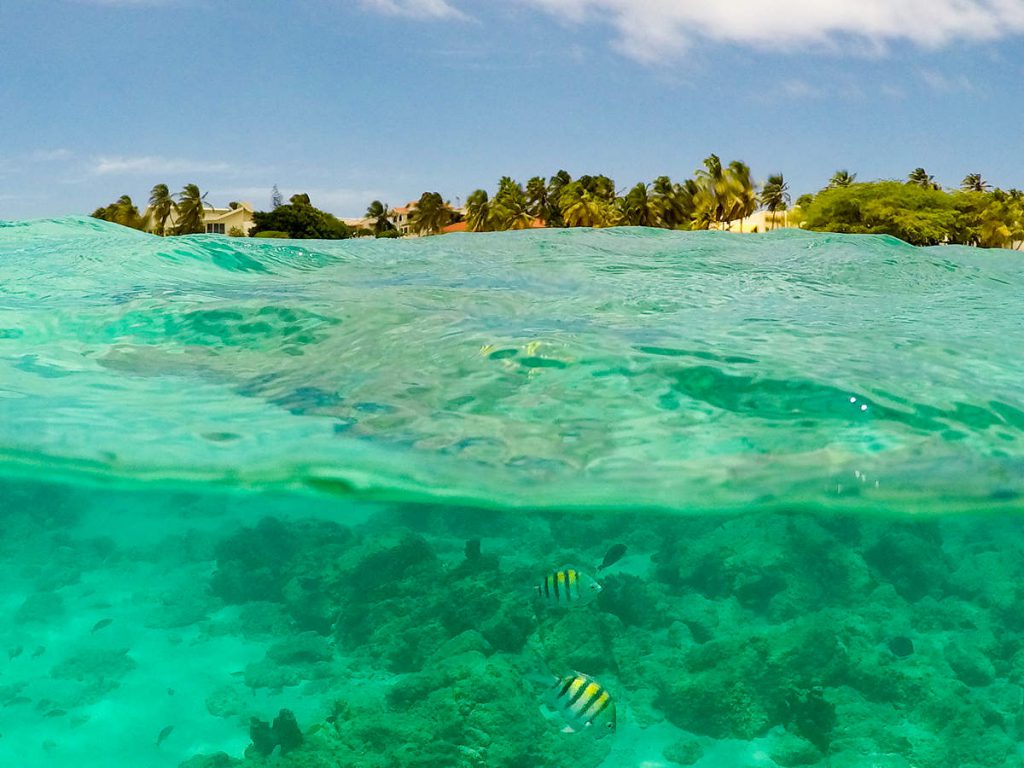 Snorkeling Boca Catalina