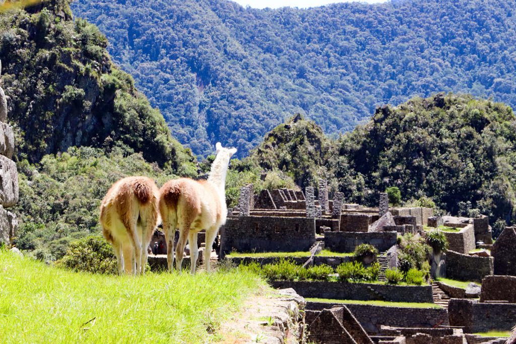 Erster Blick auf Machu Picchu