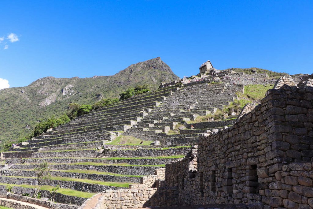 Terrassen am Machu Picchu